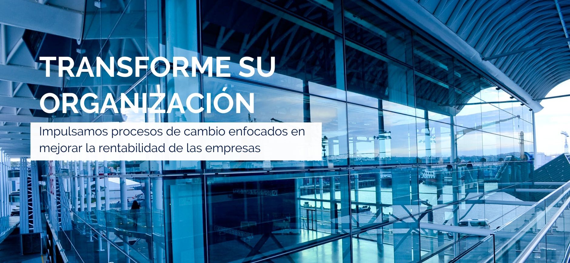 consultoría-negocios